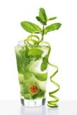 Mojito Bacardi